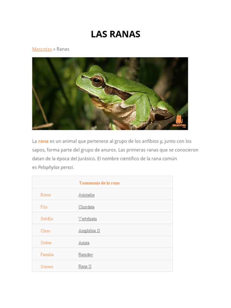 Las Ranas | PDF | Anfibio | Organismos