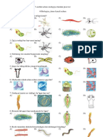 @biologiya - Times Zoologiya Rasmli PDF