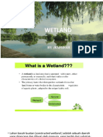 WETLAND