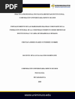 Práctica Profesional Psicología Bienestar Institucional Cristian Suarez