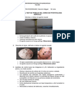 DESARROLLO DEL TEST DE TRABAJO DEL CURSO DE FITOPATOLOGIA AGRICOLA (Autoguardado)