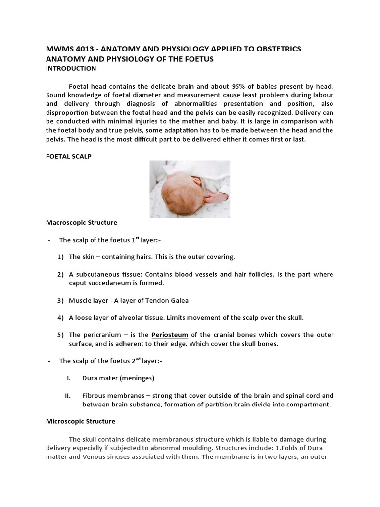 Moulding in Obstetrics: Definitions & Types | PDF | Childbirth | Skull