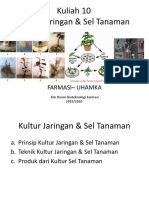 Kultur Jaringan Tanaman