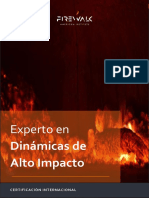 EXPERTO EN DINÁMICAS DE ALTO IMPACTO - Catálogo - Reducido