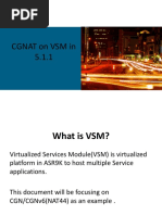 Cgnat On VSM in 5.1.1