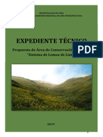 Sistema_de_Lomas.pdf