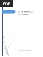Liderazgo PDF