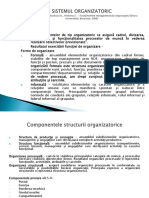 Sistemul Organizatoric PDF