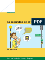 Seguridad del peaton.pdf