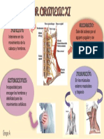 XI - Par Craneal ESPINAL PDF