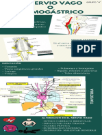 X - NERVIO VAGO O NEUMOGÁSTRICO F PDF