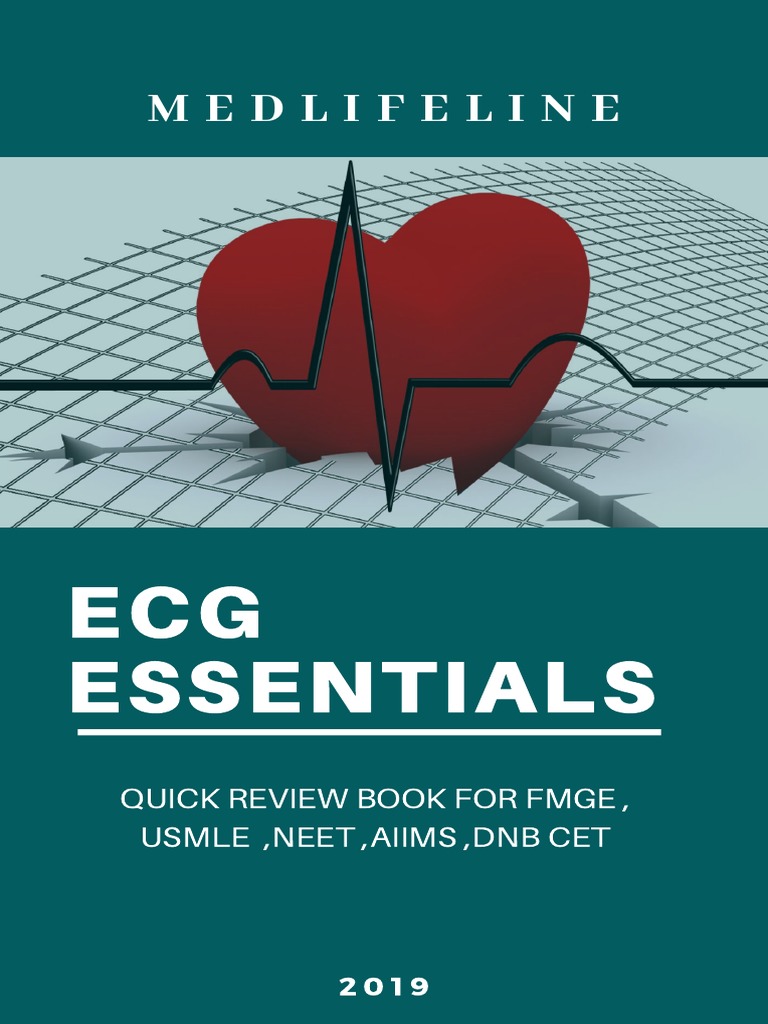 Understanding Ecgs An Essential Guide To Electrocardiogram Basics
