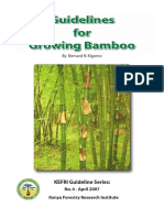 Bamboo book text.pdf