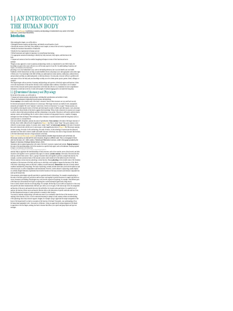 Anatomy & Physiology Basics | PDF | Anatomy | Physiology