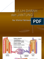 PEMBULUH DARAH Dan JANTUNG