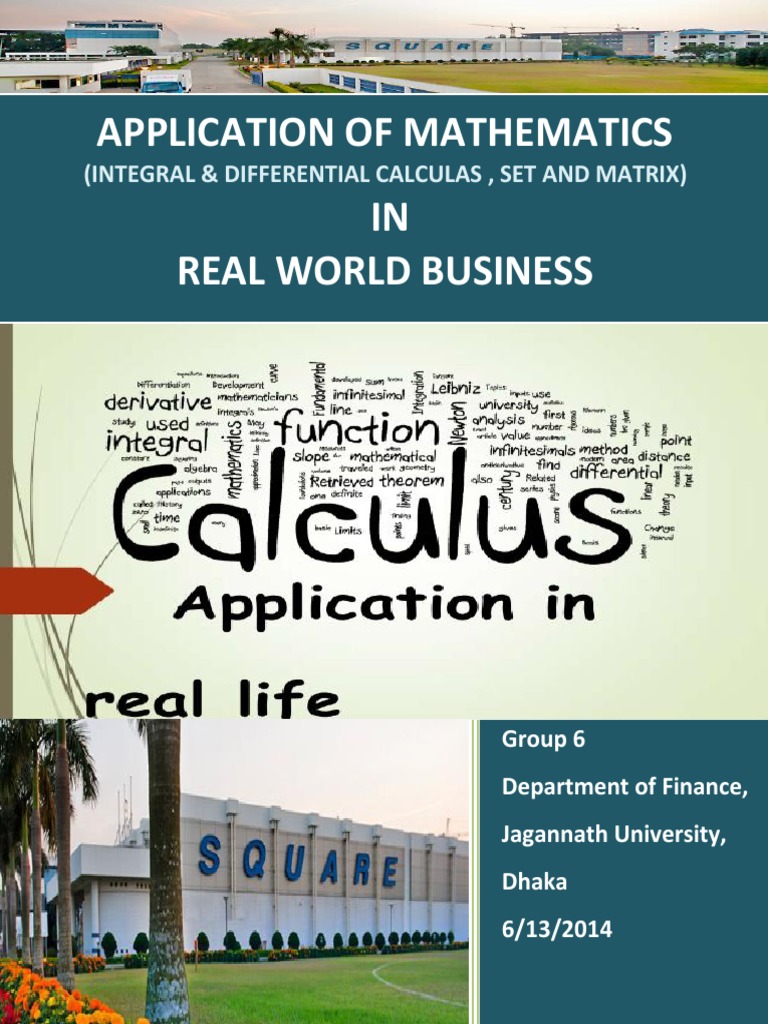 Math Applications in Business Analysis | PDF | Derivative | Calculus