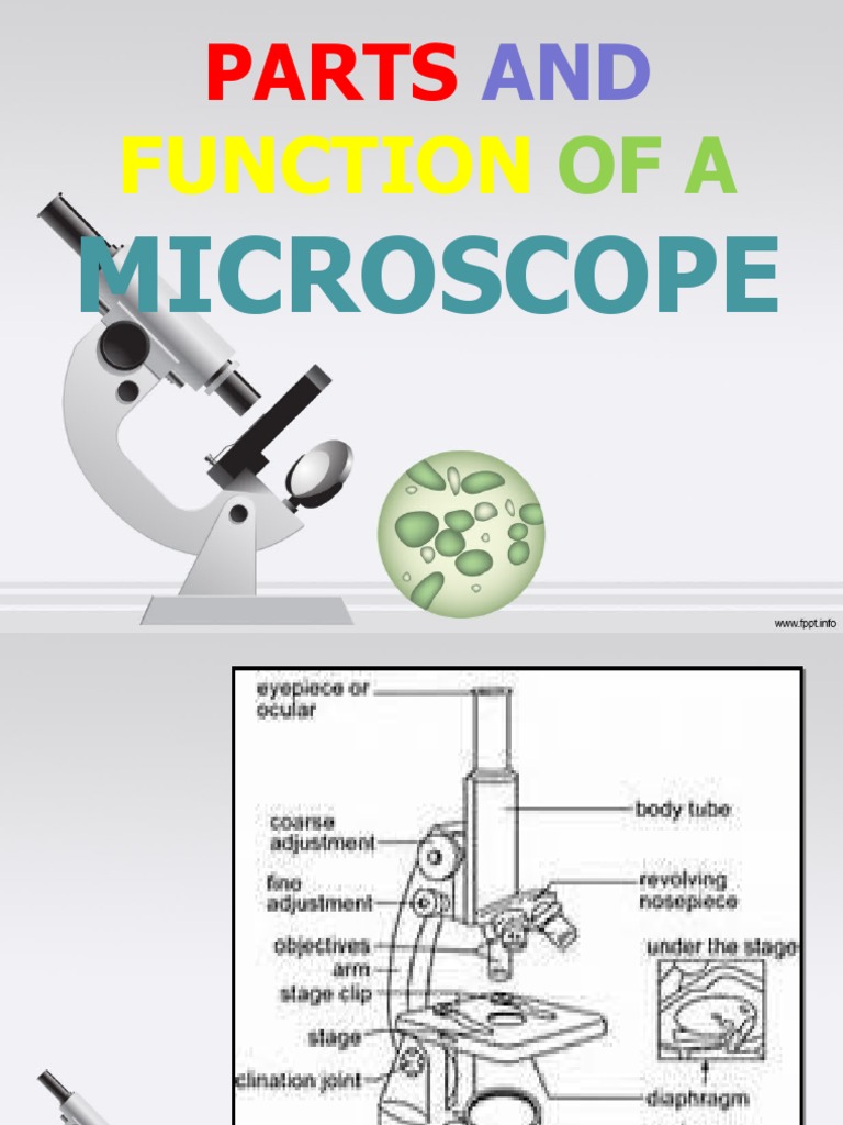 Module 2 - Microscope | PDF | Computers | Technology & Engineering