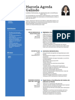 CV Agreda Galindo 42902776 PDF