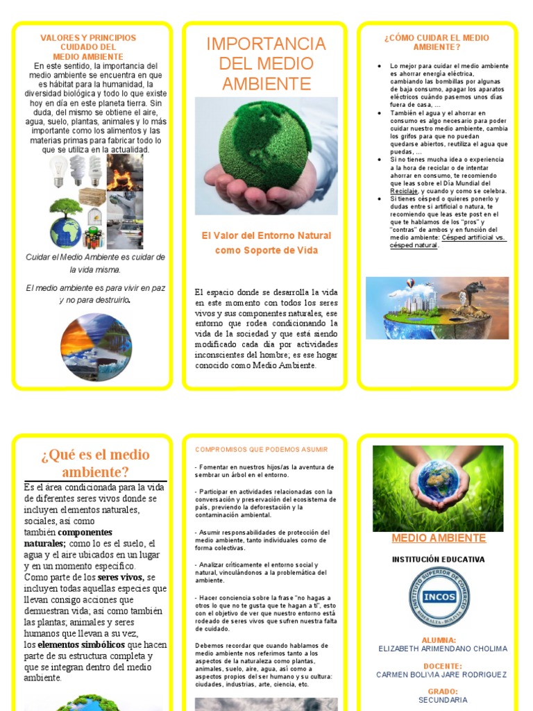 Cuidado del Medio Ambiente: Principios y Acciones | PDF | Entorno ...