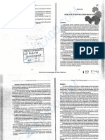 LUNAZZI (2001) Acerca de La Identificación Proyectiva PDF