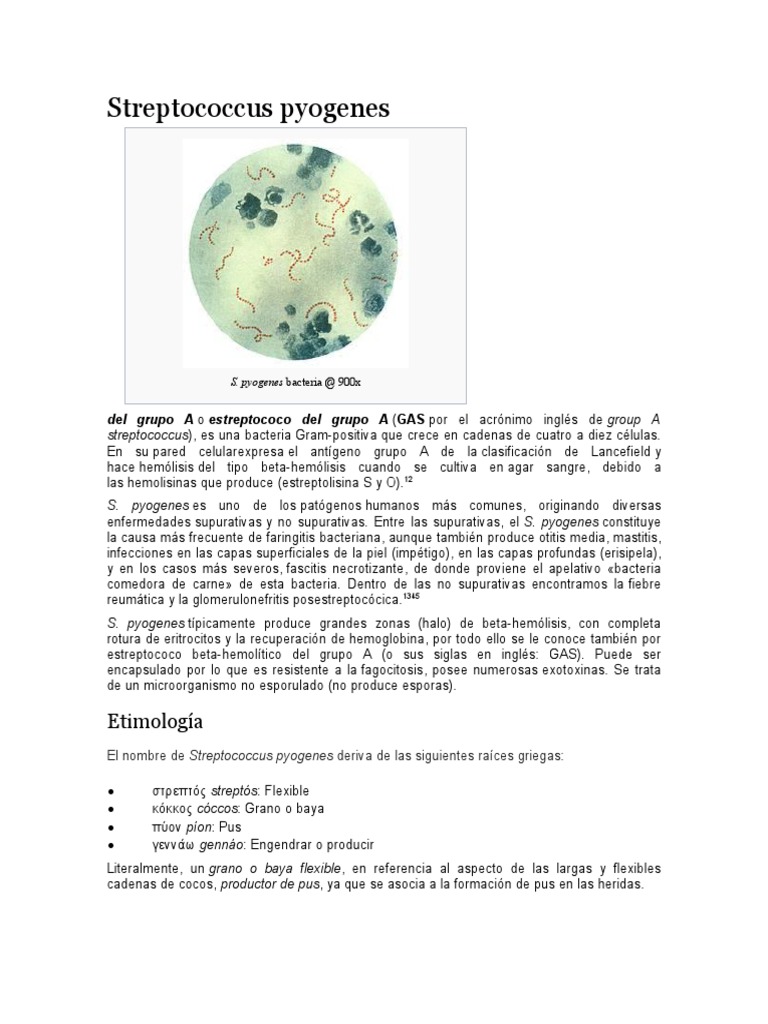 Streptococcus Pyogenes | PDF | Microbiología | Especialidades Medicas