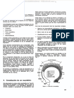 Neumaticos .pdf