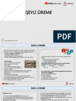 11f895 PDF