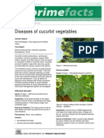 Diseases of Cucurbit Vegetables: Downy Mildew
