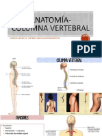 Sistema Músculo Esquelético - Columna Vertebral PDF