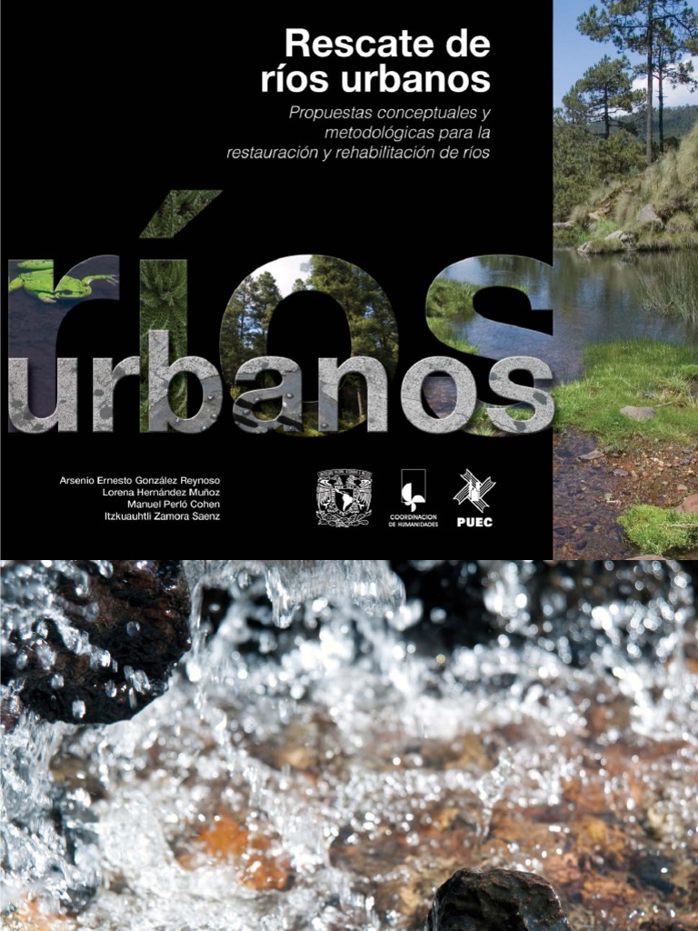 PDF) Agua para ciudades sedientas: la desecación de la zona lacustre en la  cuenca alta del río Lerma (México) y la conformación de nuevos paisajes