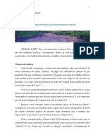 2019 - O Desmatamento É Cultural PDF