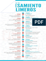 TIMELINE Polimeros PDF