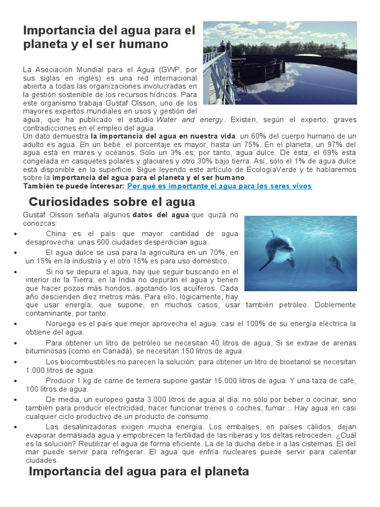 Importancia Del Agua para El Planeta y El Ser Humano | PDF | Tierra | Agua