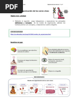5° Ciencias - Crucigrama - Niveles de Organización de Los Seres Vivos