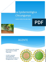 Cadena Epidemiológica Chicungunya