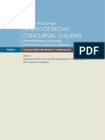 NUEVO-DERECHO-CONCURSAL-GONZALO-RUZ-pdf.pdf