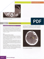 Manual Amir Radiologia 70