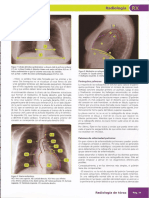Manual Amir Radiologia 11