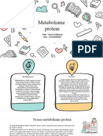 Metabolisme Protein by Nuril