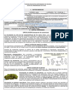 Guía 7 Ciencias e Informática 6°