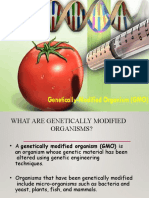 What are GMOs and how are they produced