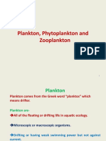 Plankton 2