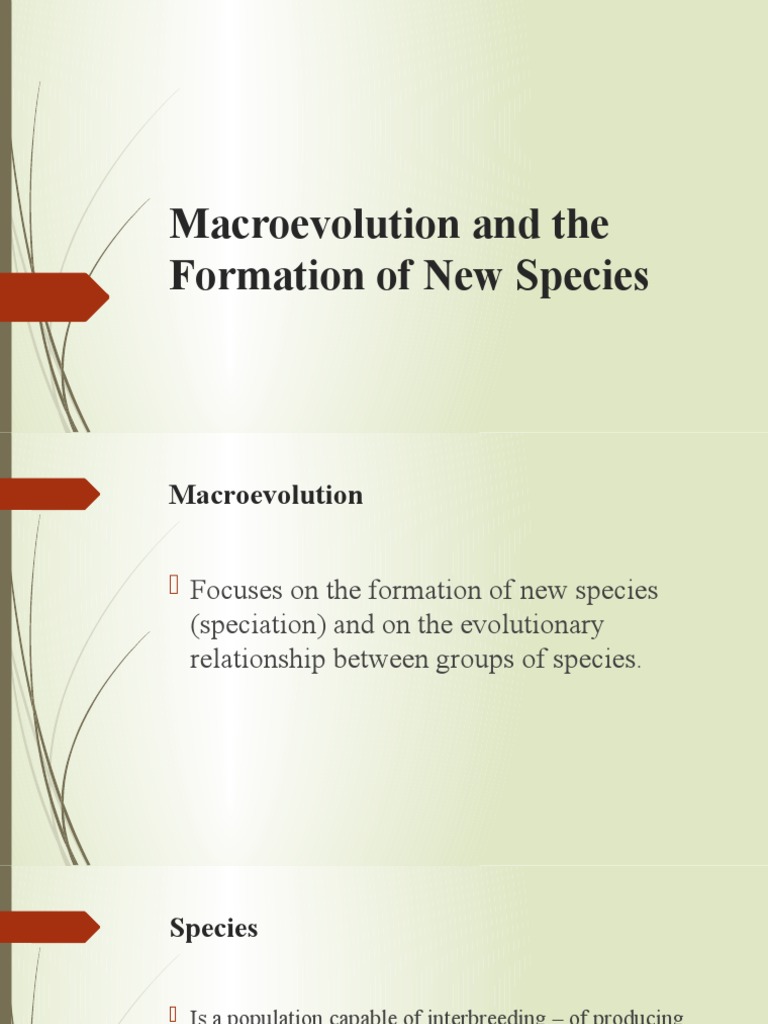 Macroevolution and The Formation of New Species PDF Homo Ape