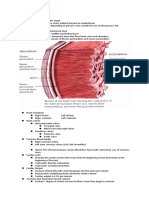 The HEART and its dysfunctions 