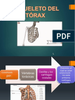 Tórax PDF