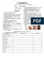 Taller de Antropología PDF