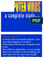 Computer Virus...
