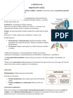 Esqueleto Axial-Embriologia PDF