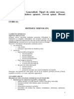 TEMA 11 C11, LP11.pdf