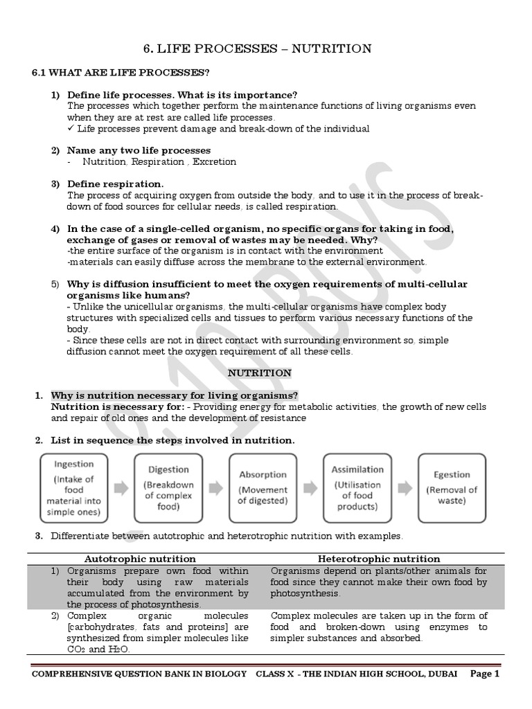 Steps in Nutritional Processes | PDF | Digestion | Stomach